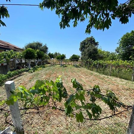 Lemon Tree Apartment Agios Gordios  Luaran gambar